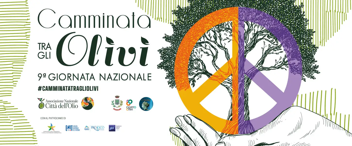 camminata-tra-gli-olivi