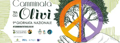 camminata-tra-gli-olivi